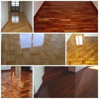 /album/nacsinteco/varias-jpg/